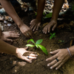 Debate discute democracia e direitos humanos